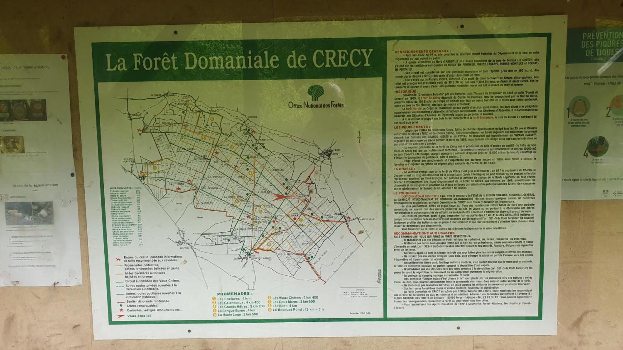 La Fermette Des Ramolleux Villa Crécy-en-Ponthieu Kamer foto